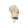 Laerdal Head skin & airways 252000